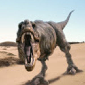 Meet your Posher, Jax